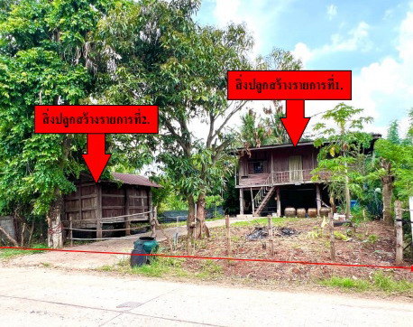 ขายทอดตลาด ที่ดินพร้อมสิ่งปลูกสร้าง ต.เพ็กใหญ่ อ.พล จ.ขอนแก่น
