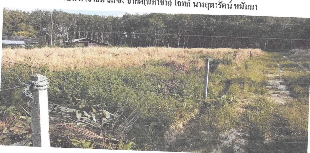 ขายทอดตลาด ที่ดินว่างเปล่า ต.คลองพน อ.คลองท่อม จ.กระบี่