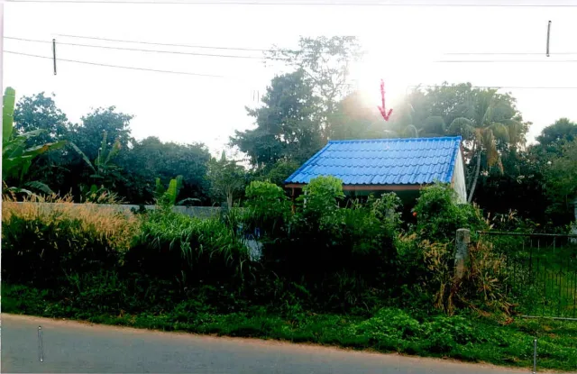 ขายทอดตลาด ที่ดินพร้อมสิ่งปลูกสร้าง ต.ลำทับ อ.ลำทับ จ.กระบี่