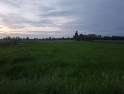 ขายทอดตลาด ที่ดินว่างเปล่า จ.ขอนแก่น