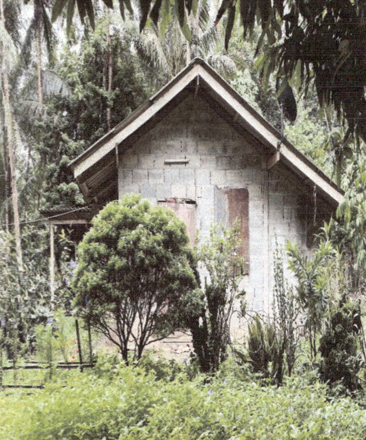ขายทอดตลาด ที่ดินพร้อมสิ่งปลูกสร้าง ต.เขาดิน อ.เขาพนม จ.กระบี่