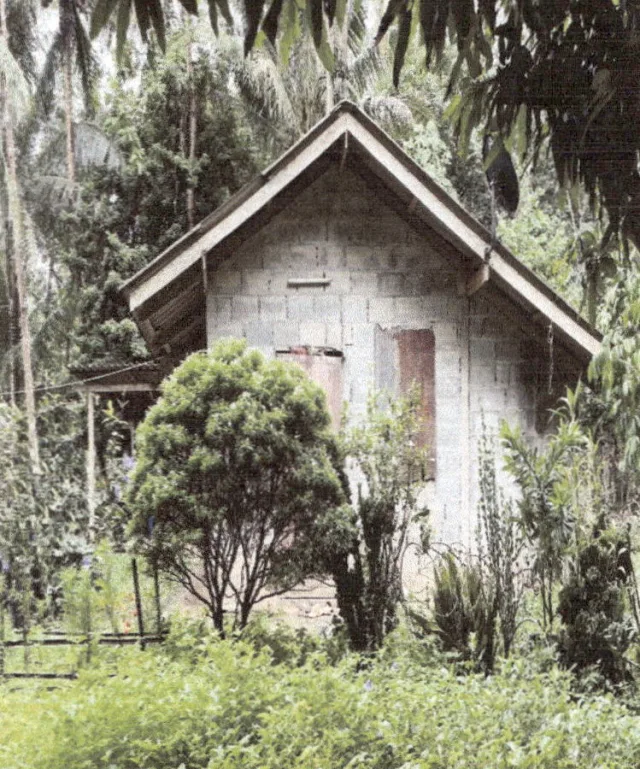 ขายทอดตลาด ที่ดินพร้อมสิ่งปลูกสร้าง ต.เขาดิน อ.เขาพนม จ.กระบี่