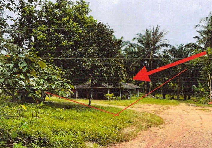 ขายทอดตลาด ที่ดินพร้อมสิ่งปลูกสร้าง ต.เขาพนม อ.เขาพนม จ.กระบี่