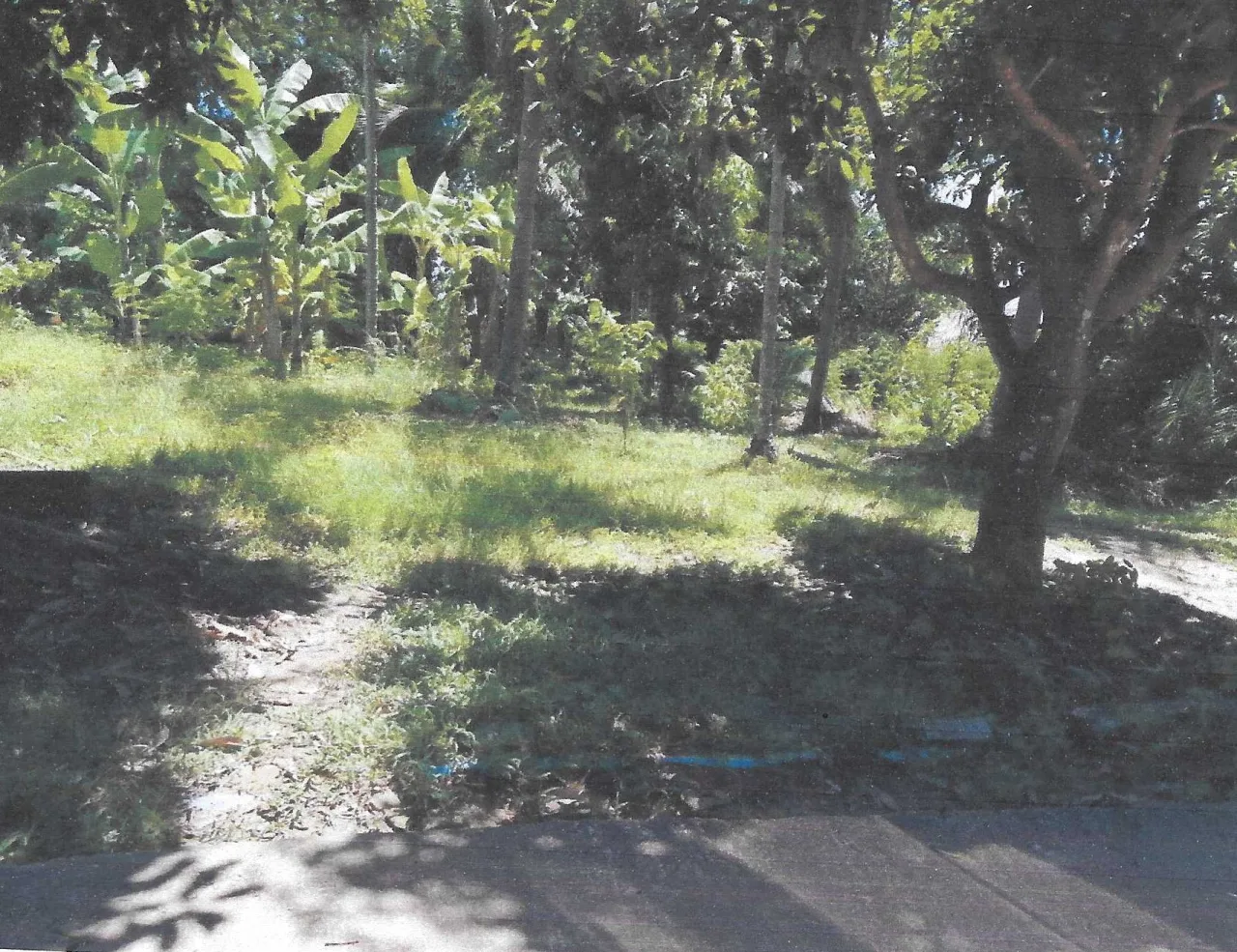 ขายทอดตลาด ที่ดินว่างเปล่า ต.เกาะลันตาน้อย อ.เกาะลันตา จ.กระบี่
