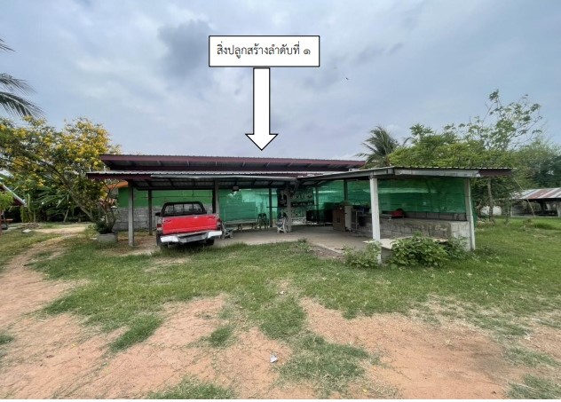 ขายทอดตลาด ที่ดินพร้อมสิ่งปลูกสร้าง ต.โสกนกเต็น อ.พล จ.ขอนแก่น
