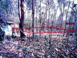 รูปทรัพย์ 3