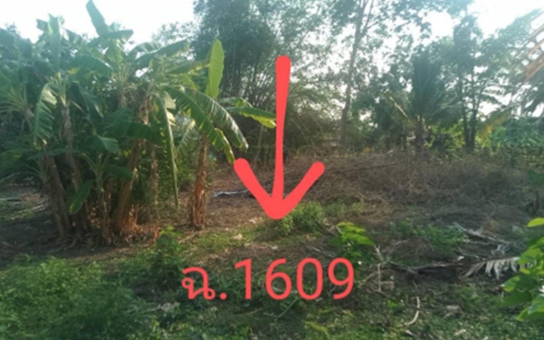 ขายทอดตลาด ที่ดินว่างเปล่า ต.แวงใหญ่ อ.แวงใหญ่ จ.ขอนแก่น
