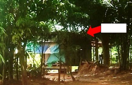 ขายทอดตลาด ที่ดินว่างเปล่า ต.หนองมะเขือ อ.พล จ.ขอนแก่น