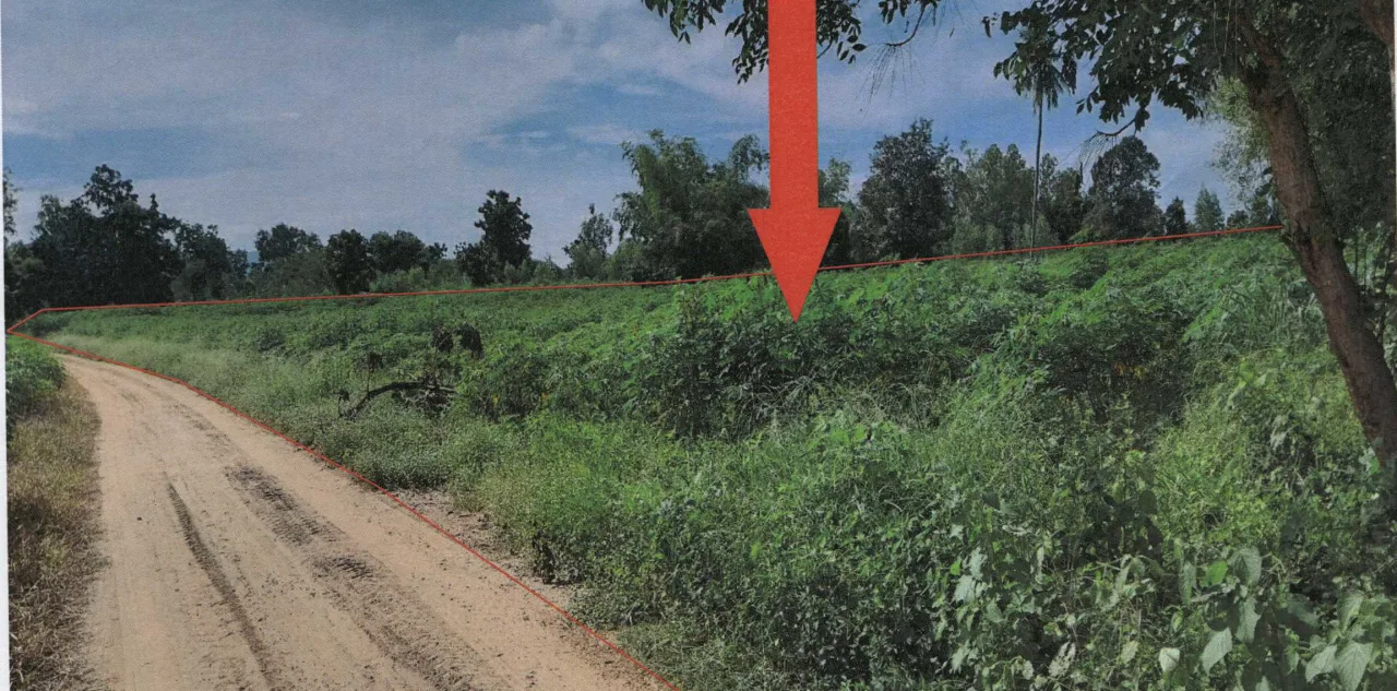ขายทอดตลาด ที่ดินว่างเปล่า จ.นครสวรรค์