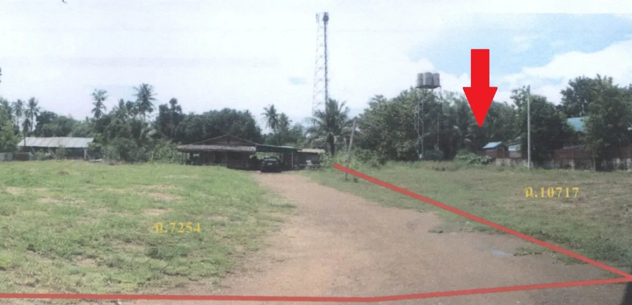 ขายทอดตลาด ที่ดินว่างเปล่า จ.พิจิตร