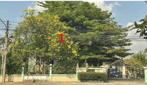 ขายทอดตลาด ที่ดินพร้อมสิ่งปลูกสร้าง ต.บ้านลาน อ.บ้านไผ่ จ.ขอนแก่น