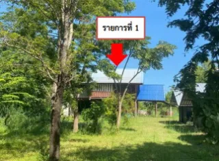 รูปทรัพย์ 2