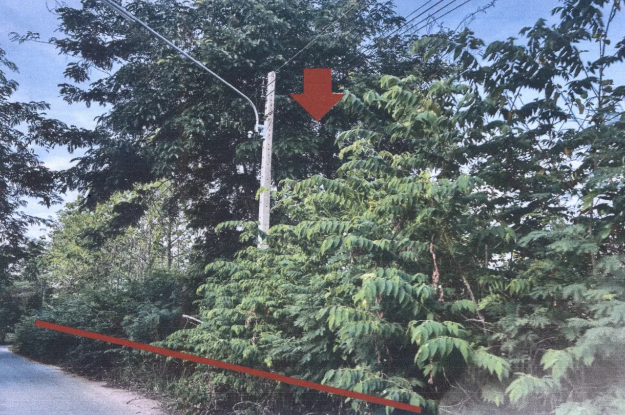 ขายทอดตลาด ที่ดินว่างเปล่า จ.ขอนแก่น
