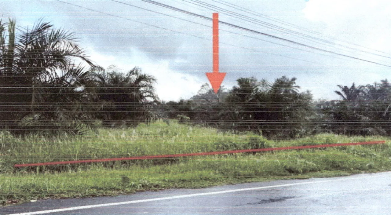 ขายทอดตลาด ที่ดินว่างเปล่า ต.คลองพน อ.คลองท่อม จ.กระบี่