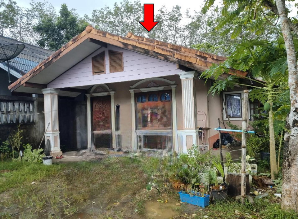 ขายทอดตลาด ที่ดินพร้อมสิ่งปลูกสร้าง ต.แหลมสอม อ.ปะเหลียน จ.ตรัง