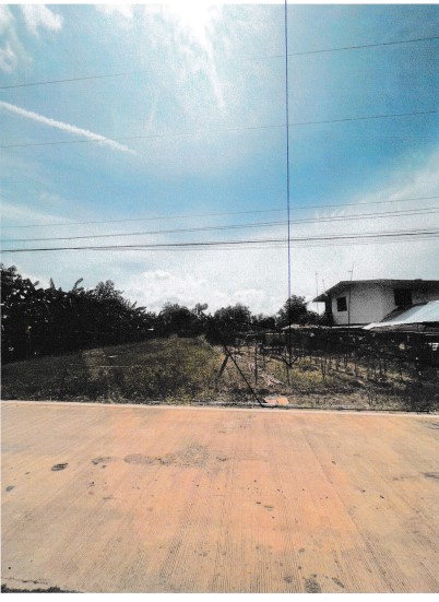 ขายทอดตลาด ที่ดินว่างเปล่า จ.พิษณุโลก