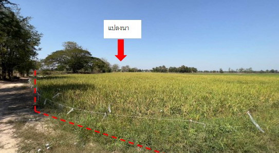 ขายทอดตลาด ที่ดินว่างเปล่า ต.บ้านนา อ.วชิรบารมี จ.พิจิตร