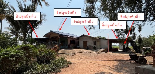 ขายทอดตลาด ที่ดินพร้อมสิ่งปลูกสร้าง ต.ไผ่ล้อม อ.บางกระทุ่ม จ.พิษณุโลก