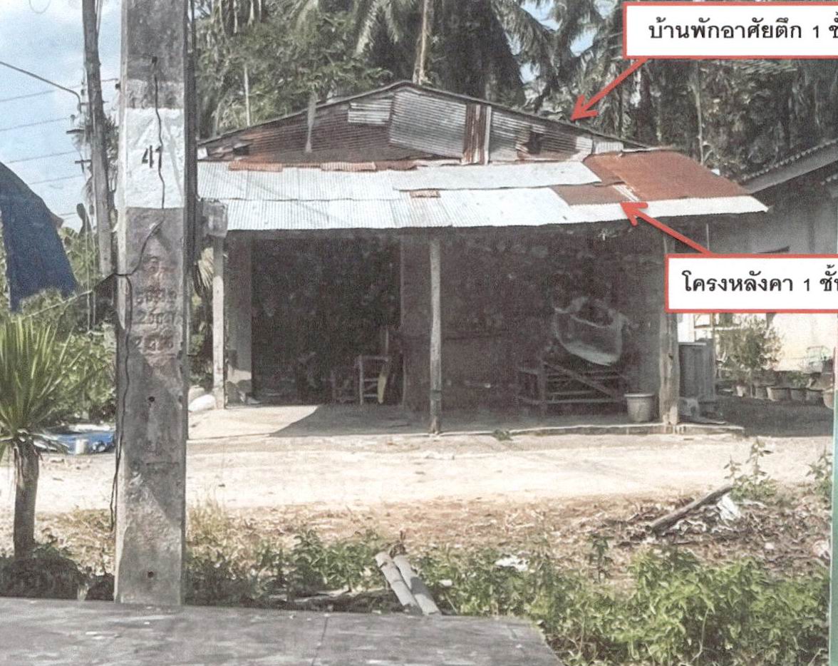 ขายทอดตลาด ที่ดินพร้อมสิ่งปลูกสร้าง ต.นาเหนือ อ.อ่าวลึก จ.กระบี่