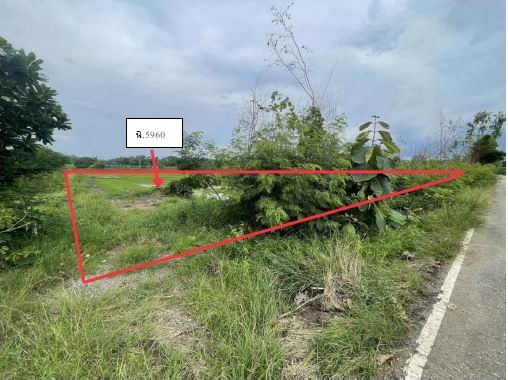 ขายทอดตลาด ที่ดินว่างเปล่า ต.สำนักขุนเณร อ.กิ่งอ.ดงเจริญ จ.พิจิตร