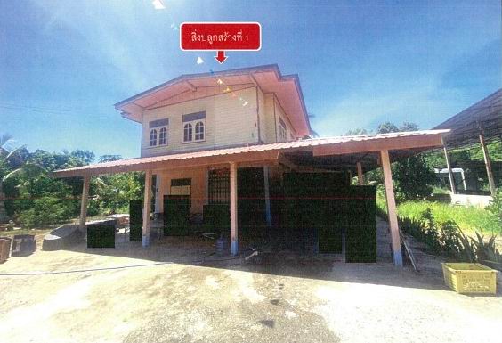 ขายทอดตลาด ที่ดินพร้อมสิ่งปลูกสร้าง ต.บ้านน้อย อ.โพทะเล จ.พิจิตร