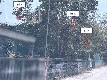ขายทอดตลาด ที่ดินพร้อมสิ่งปลูกสร้าง ต.เมืองพล อ.พล จ.ขอนแก่น