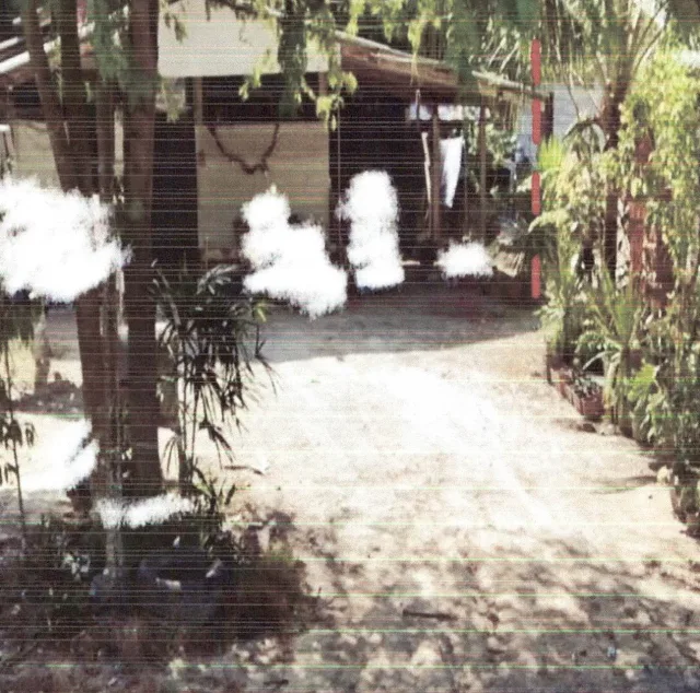 ขายทอดตลาด ที่ดินพร้อมสิ่งปลูกสร้าง ต.เขาต่อ อ.ปลายพระยา จ.กระบี่