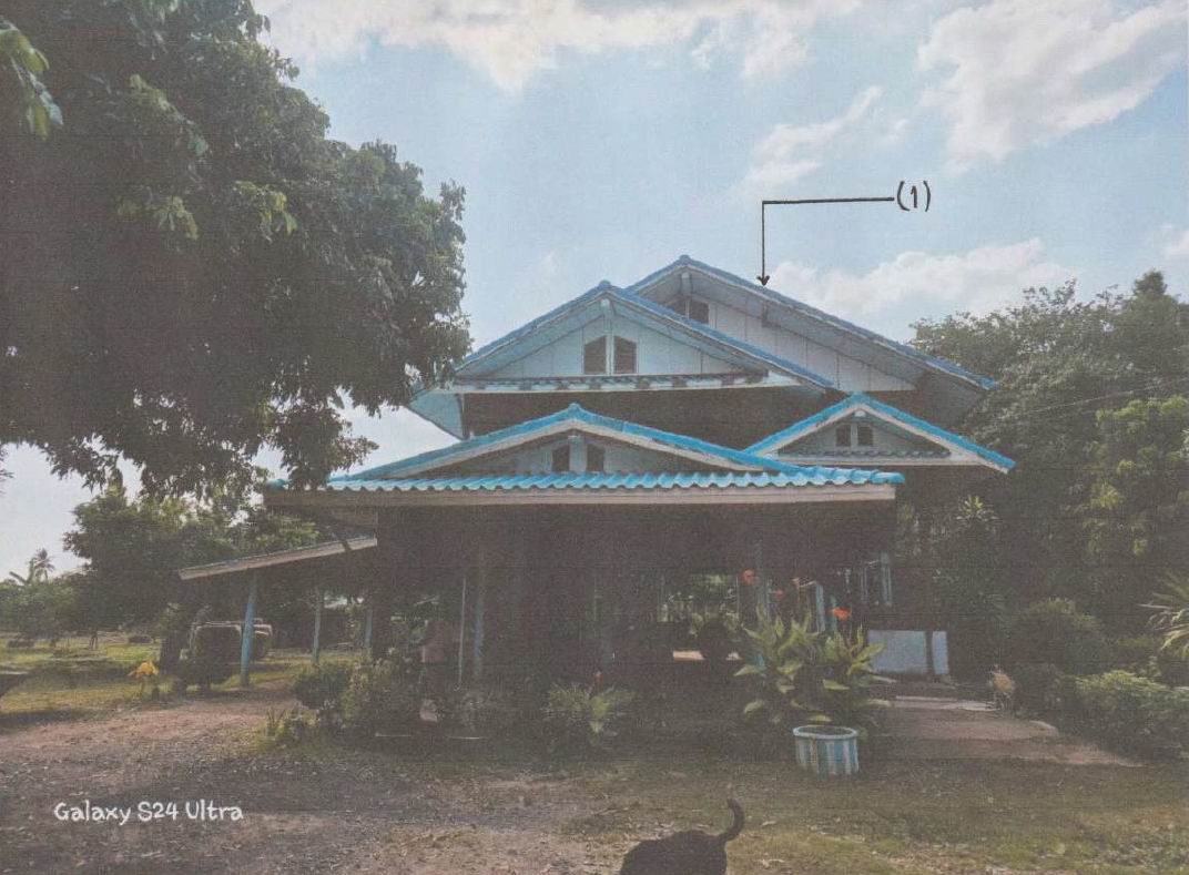 ขายทอดตลาด ที่ดินพร้อมสิ่งปลูกสร้าง ต.ดงป่าคำ อ.เมืองพิจิตร จ.พิจิตร