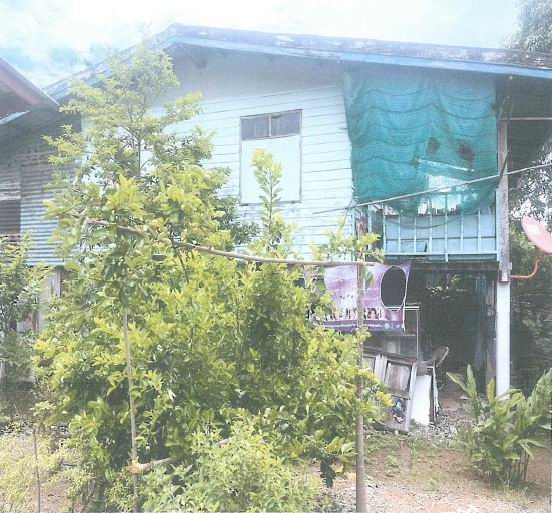 ขายทอดตลาด ที่ดินพร้อมสิ่งปลูกสร้าง ต.บางมูลนาก อ.บางมูลนาก จ.พิจิตร
