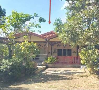 ขายทอดตลาด ที่ดินพร้อมสิ่งปลูกสร้าง ต.ทุ่งโพธิ์ อ.ตะพานหิน จ.พิจิตร