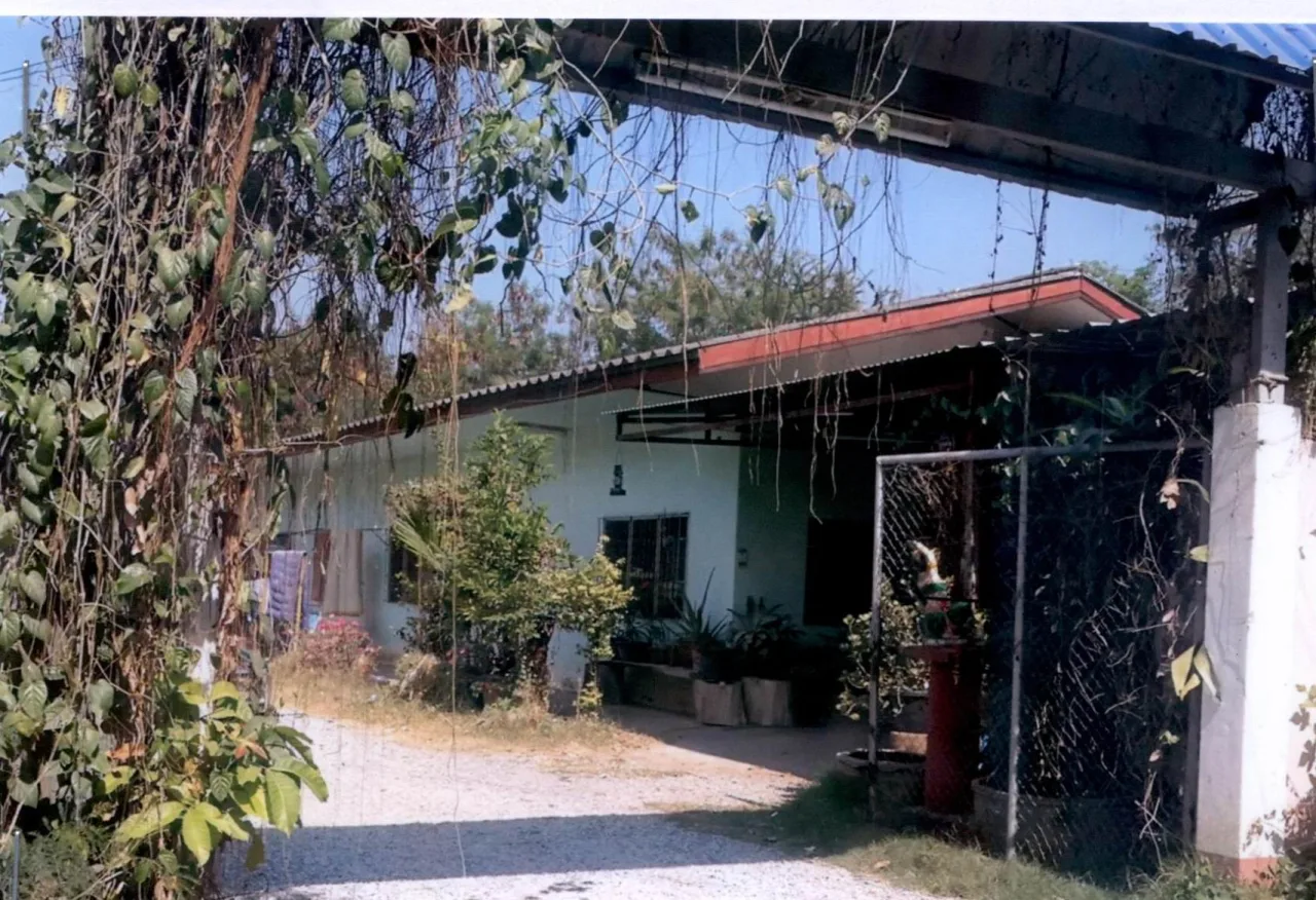 ขายทอดตลาด ที่ดินพร้อมสิ่งปลูกสร้าง ต.ชนบท อ.ชนบท จ.ขอนแก่น