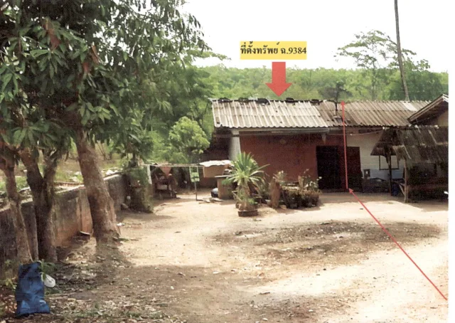 ขายทอดตลาด ที่ดินพร้อมสิ่งปลูกสร้าง ต.เขาพนม อ.เขาพนม จ.กระบี่