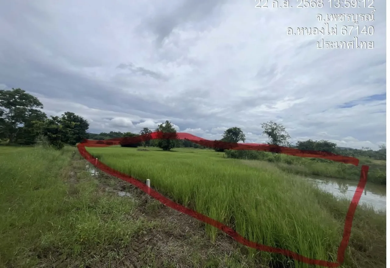 ขายทอดตลาด ที่ดินว่างเปล่า จ.เพชรบูรณ์