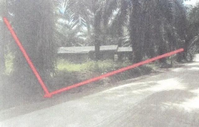 ขายทอดตลาด ที่ดินพร้อมสิ่งปลูกสร้าง ต.หน้าเขา อ.เขาพนม จ.กระบี่