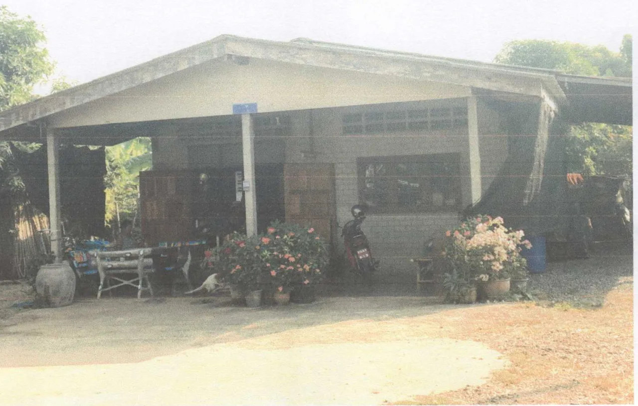 ขายทอดตลาด ที่ดินพร้อมสิ่งปลูกสร้าง ต.ตาสัง อ.บรรพตพิสัย จ.นครสวรรค์