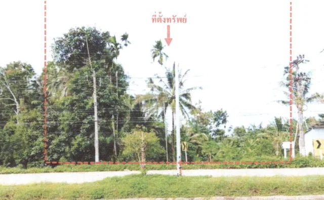 ขายทอดตลาด ที่ดินว่างเปล่า จ.กระบี่