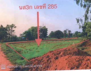 รูปทรัพย์ 1