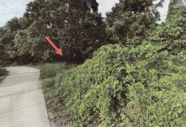 ขายทอดตลาด ที่ดินว่างเปล่า ต.หนองทะเล อ.เมืองกระบี่ จ.กระบี่