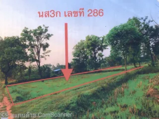 รูปทรัพย์ 2