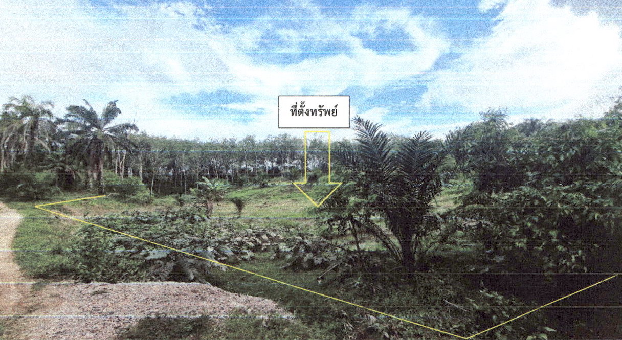 ขายทอดตลาด ที่ดินว่างเปล่า ต.คลองขนาน อ.เหนือคลอง จ.กระบี่