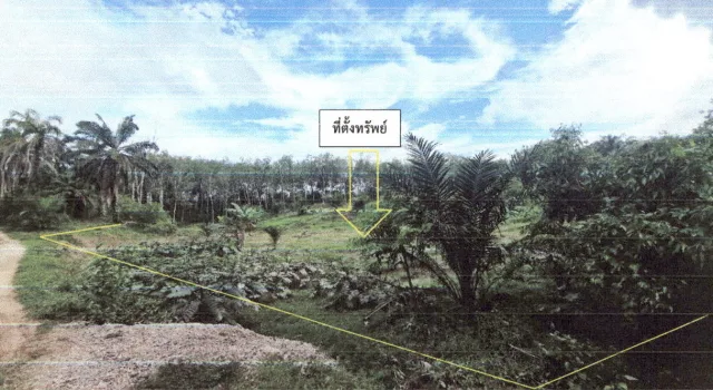 ขายทอดตลาด ที่ดินว่างเปล่า ต.คลองขนาน อ.เหนือคลอง จ.กระบี่