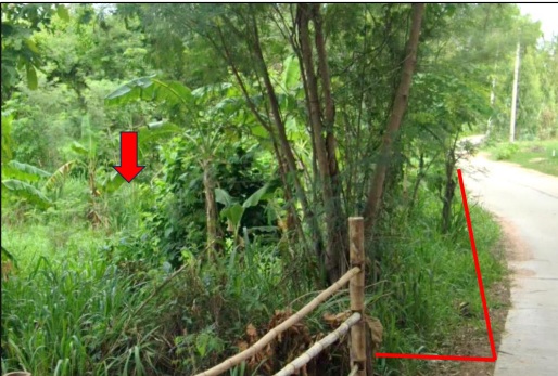 ขายทอดตลาด ที่ดินว่างเปล่า ต.หนองน้ำใส อ.บ้านไผ่ จ.ขอนแก่น