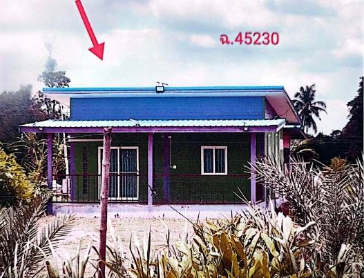 ขายทอดตลาด ที่ดินพร้อมสิ่งปลูกสร้าง ต.ป่าปอ อ.บ้านไผ่ จ.ขอนแก่น