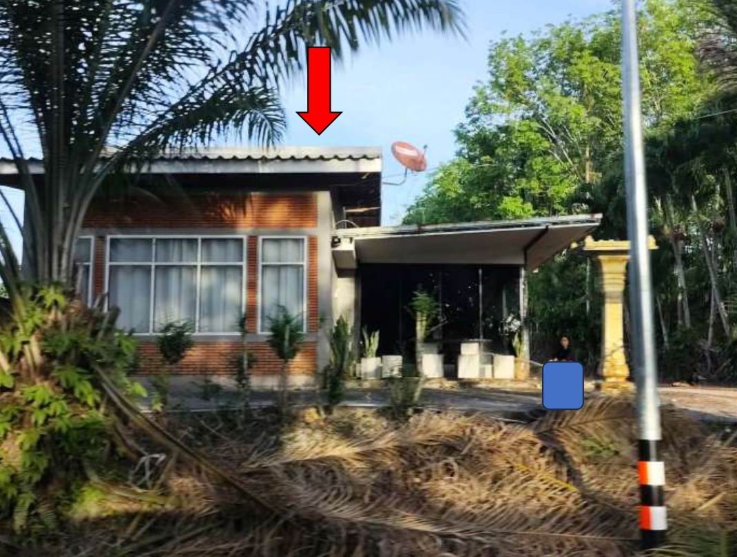 ขายทอดตลาด ที่ดินพร้อมสิ่งปลูกสร้าง ต.หนองปรือ อ.รัษฎา จ.ตรัง
