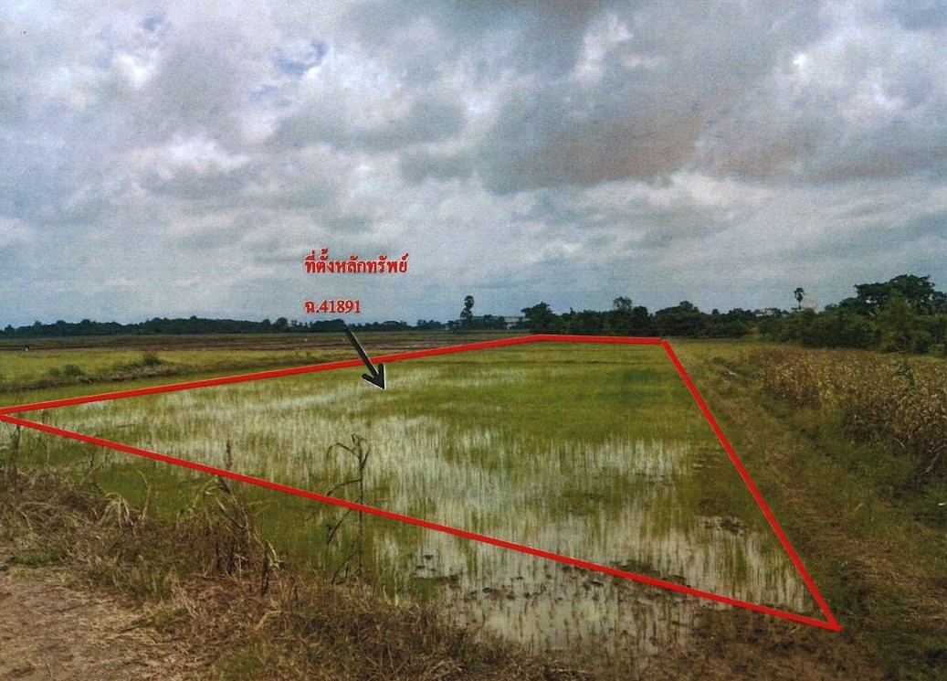 ขายทอดตลาด ที่ดินว่างเปล่า จ.เพชรบูรณ์