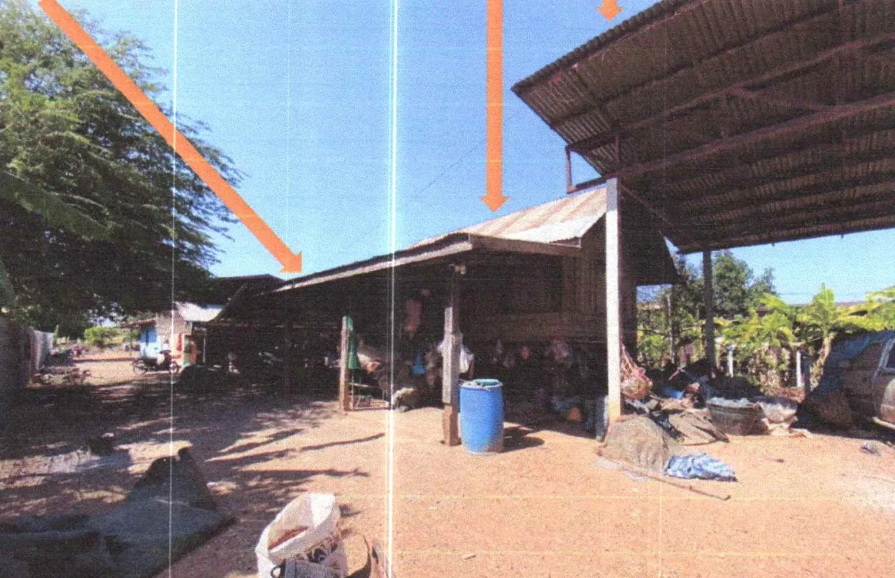 ขายทอดตลาด ที่ดินพร้อมสิ่งปลูกสร้าง ต.บ้านโภชน์ อ.หนองไผ่ จ.เพชรบูรณ์
