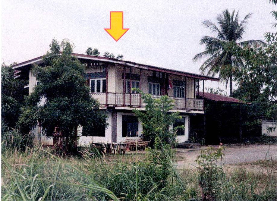 ขายทอดตลาด ที่ดินพร้อมสิ่งปลูกสร้าง ต.หนองประดู่ อ.เลาขวัญ จ.กาญจนบุรี
