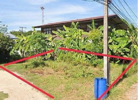 ขายทอดตลาด ที่ดินว่างเปล่า จ.นครสวรรค์