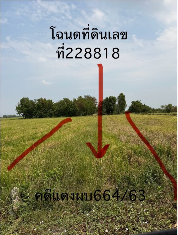 ขายทอดตลาด ที่ดินว่างเปล่า จ.พิษณุโลก