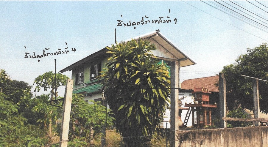 ขายทอดตลาด ที่ดินพร้อมสิ่งปลูกสร้าง ต.ท่าทอง อ.เมืองพิษณุโลก จ.พิษณุโลก